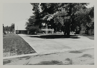 View of the front of Saint Albert Hall Library behind an oak tree, 1970