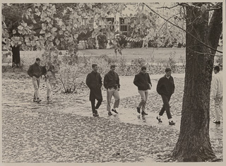 Several students working across campus, 1955